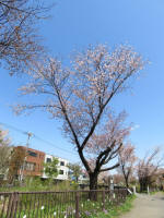 s200406_834_686.jpg