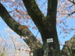 s200406_835_686.jpg