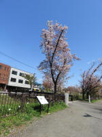 s200406_836_684.jpg