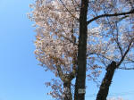 s200406_839_673.jpg