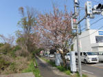 s200408_001_180.jpg