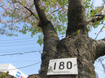s200408_003_180.jpg