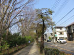 s200408_007_178.jpg
