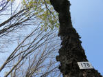 s200408_008_178.jpg