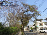 s200408_009_177.jpg