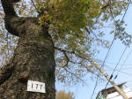 s200408_010_177.jpg