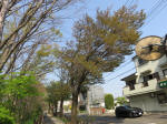 s200408_011_176.jpg
