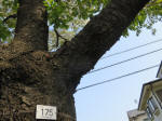 s200408_016_175.jpg