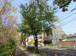s200408_017_174.jpg