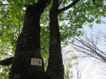 s200408_018_174.jpg