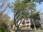 s200408_019_173.jpg