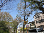 s200408_021_172.jpg