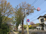 s200408_024_171.jpg