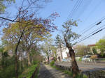 s200408_029_169.jpg