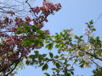 s200408_030_169.jpg