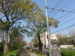 s200408_032_167.jpg