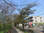 s200408_035_159.jpg