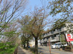 s200408_037_158.jpg