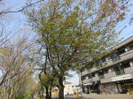 s200408_040_157.jpg