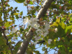 s200408_041_157.jpg
