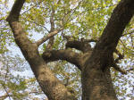 s200408_042_157.jpg