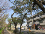 s200408_043_156.jpg