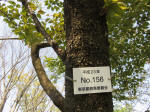 s200408_044_156.jpg