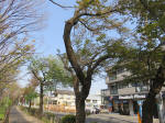 s200408_045_155.jpg