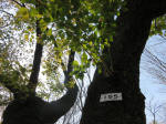 s200408_046_155.jpg