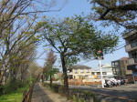 s200408_047_154.jpg