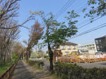 s200408_050_153.jpg