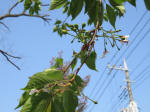 s200408_051_153.jpg