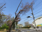 s200408_055_148.jpg