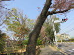s200408_057_148.jpg