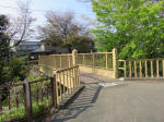 s200408_061_kozakura.jpg