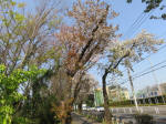 s200408_062_144-1.jpg
