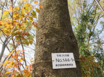 s200408_064_144-1.jpg