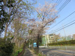 s200408_073_138.jpg