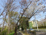 s200408_076_136.jpg