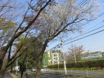 s200408_078_135.jpg