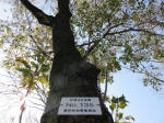s200408_080_135.jpg