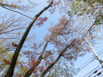 s200408_082_134.jpg