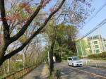 s200408_085_133.jpg