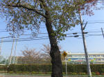 s200408_087_133.jpg