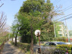 s200408_088_131.jpg