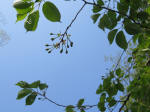 s200408_092_130.jpg