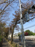 s200408_098_125.jpg