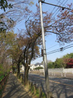 s200408_100_124.jpg