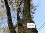 s200408_102_124.jpg