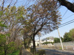 s200408_103_123.jpg